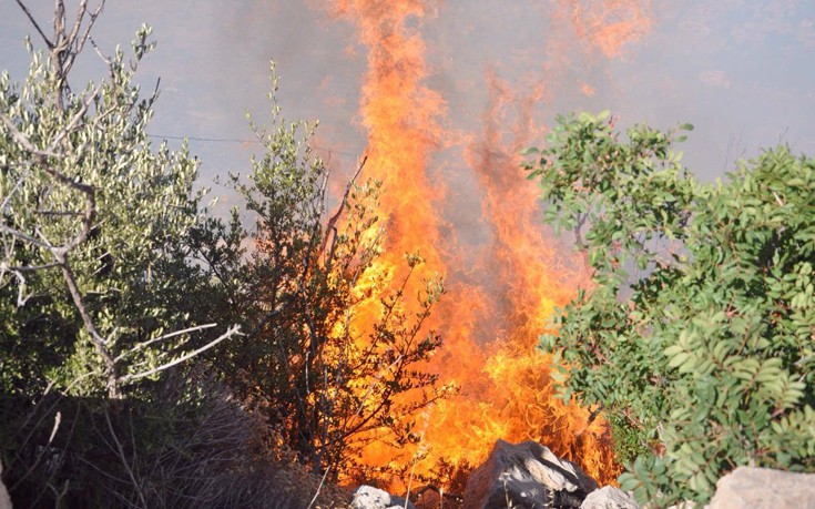 Κατάσταση έκτακτης ανάγκης λόγω της μεγάλης φωτιάς στη Χίο