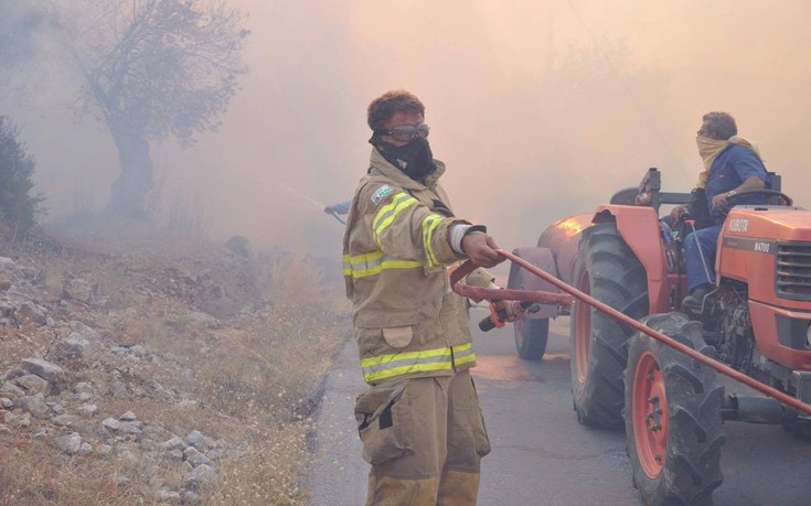 Τεράστια καταστροφή για τα μαστιχόδεντρα από την πυρκαγιά