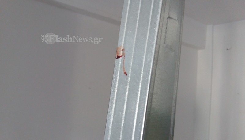 ktiniatrio-dimotiko2 ktiniatrio-dimotiko2