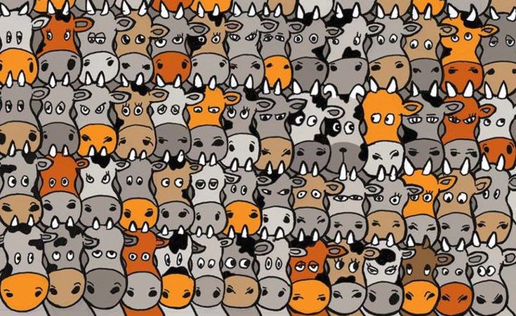 Ένας σκύλος κρύβεται ανάμεσα σε όλες αυτές τις αγελάδες