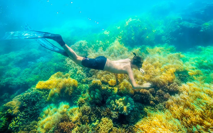 rentalhouse7 rentalhouse7