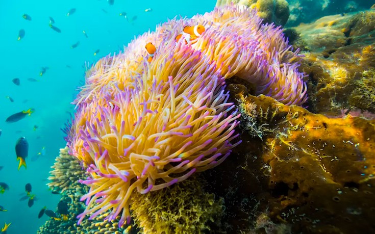 rentalhouse8 rentalhouse8