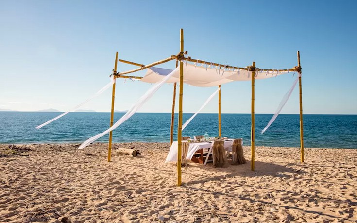 rentalhouse9 rentalhouse9