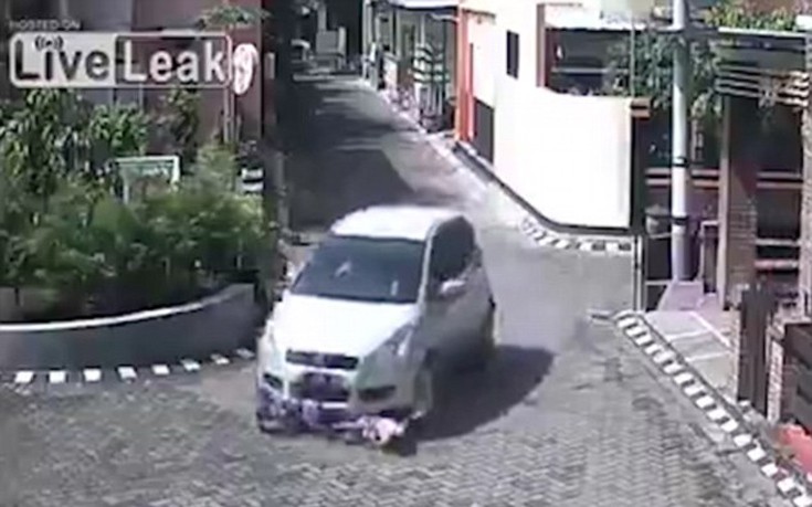 trakarismasdja2 trakarismasdja2