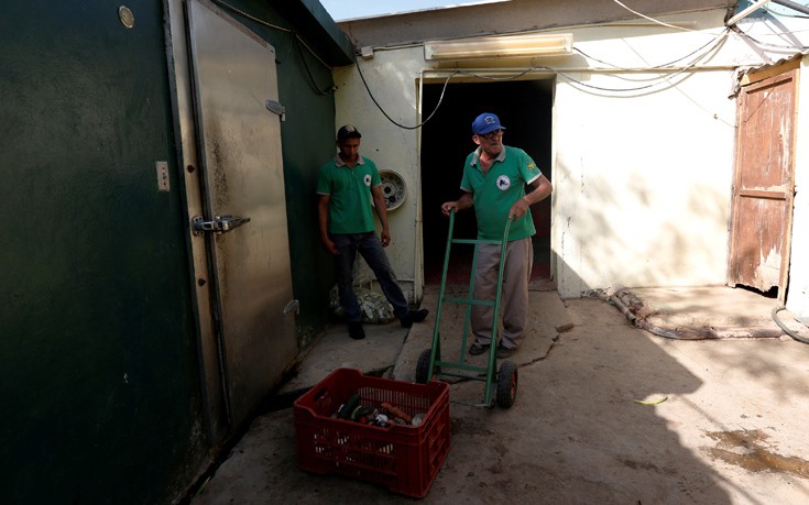 venezuela_zoo11 venezuela_zoo11