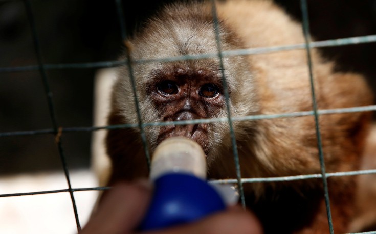 venezuela_zoo13 venezuela_zoo13