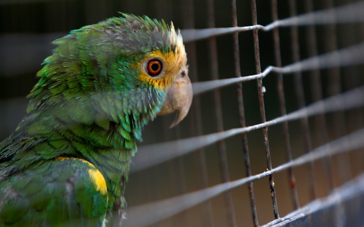 venezuela_zoo14 venezuela_zoo14