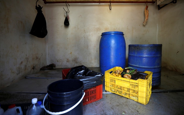 venezuela_zoo18 venezuela_zoo18