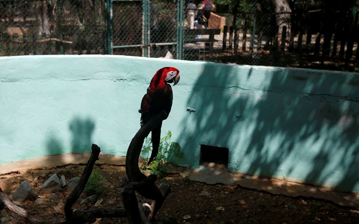 venezuela_zoo5 venezuela_zoo5