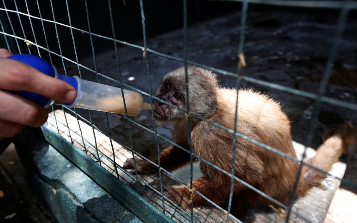 venezuela_zoo7 venezuela_zoo7