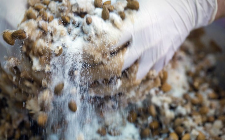 zaxaroplasteio_2_edited