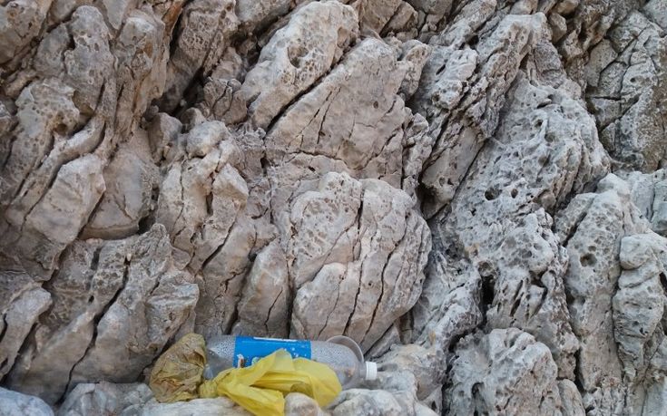 20160812-074845 - Copy 20160812-074845 - Copy