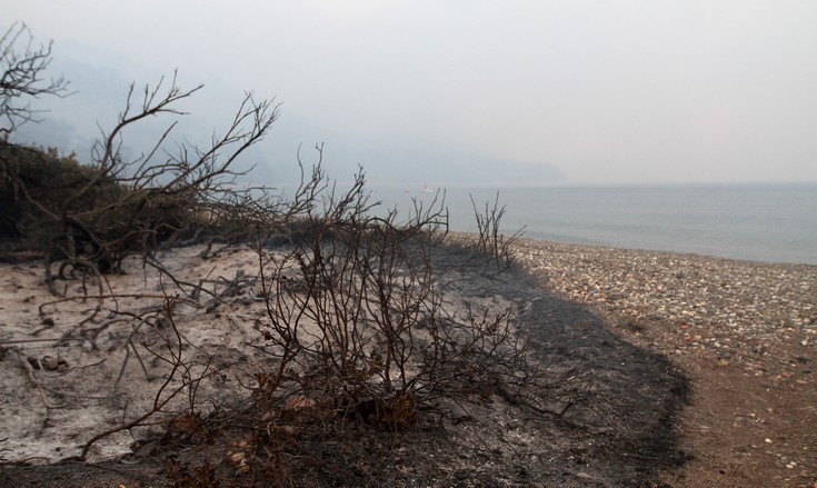 Καμένη γη η βόρεια Εύβοια