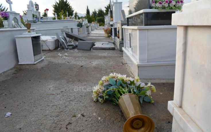 anemostiobilow-nerkrot_14 anemostiobilow-nerkrot_14