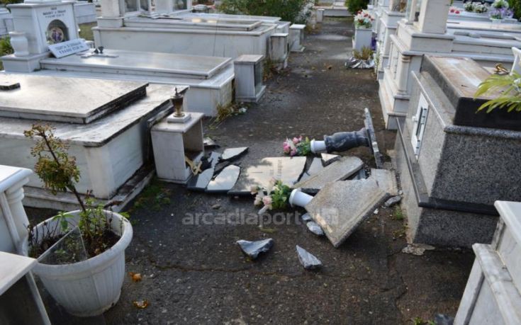 anemostiobilow-nerkrot_9 anemostiobilow-nerkrot_9