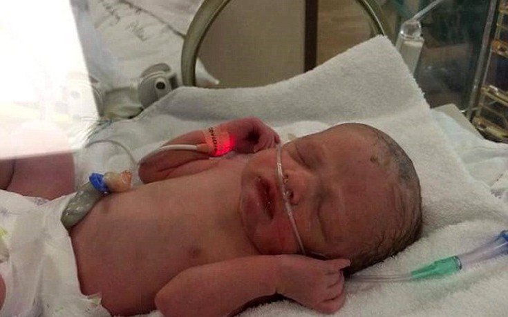 efimereyei1 efimereyei1