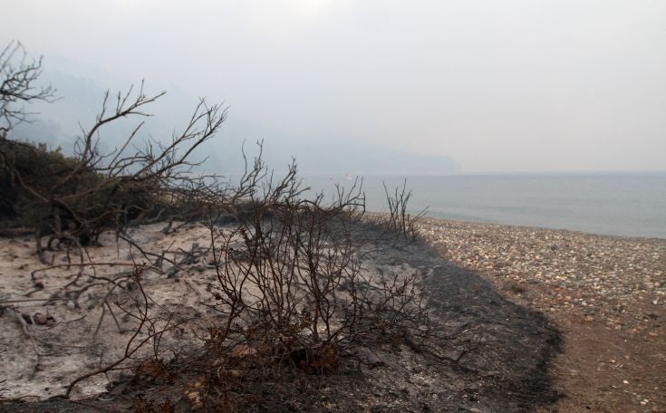 Σε ύφεση η μεγάλη πυρκαγιά στην Εύβοια