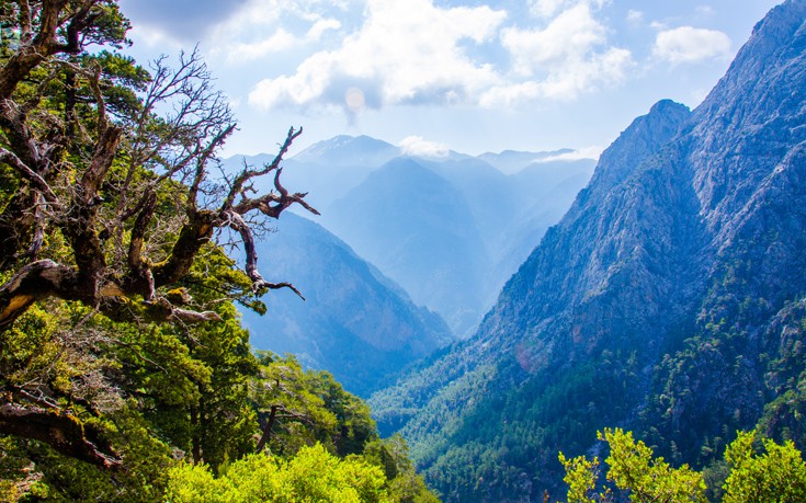 Η άγρια ομορφιά στα φαράγγια της Ελλάδας