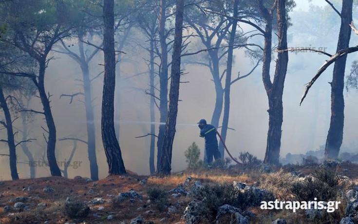 Συνεχείς αναζωπυρώσεις στα πύρινα μέτωπα στη Χίο