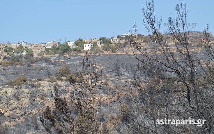 sidirouda13 sidirouda13