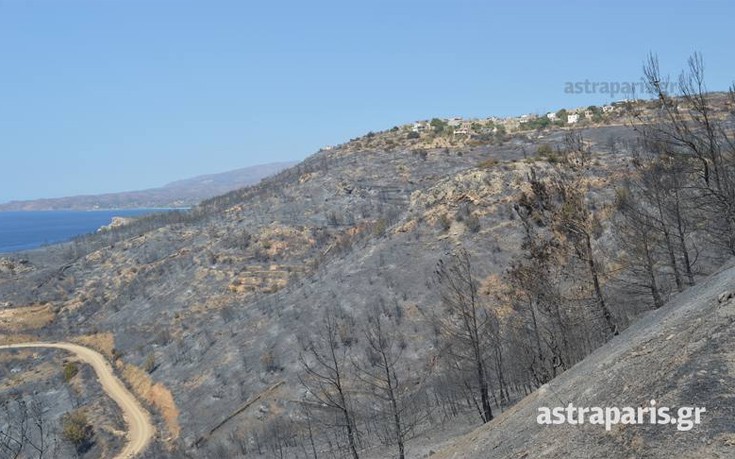 sidirouda14 sidirouda14