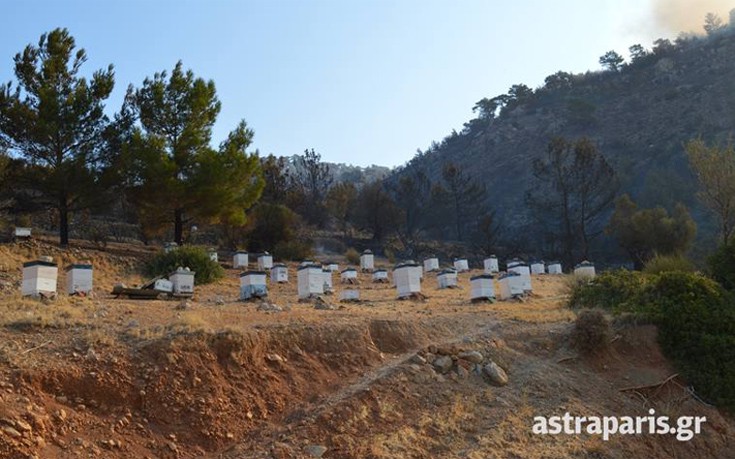 sidirouda3 sidirouda3