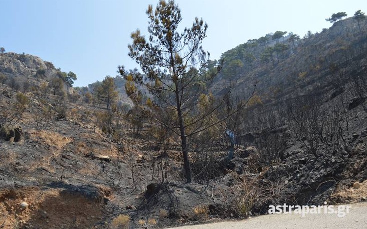 sidirouda6 sidirouda6