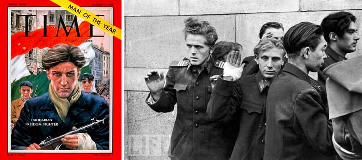 timmmseesmamfafgdfg3