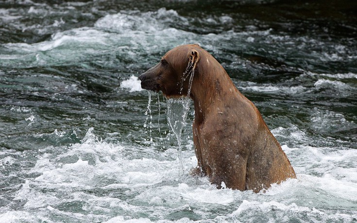 tsantismenarkoydakia11