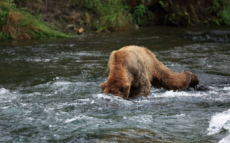 tsantismenarkoydakia8