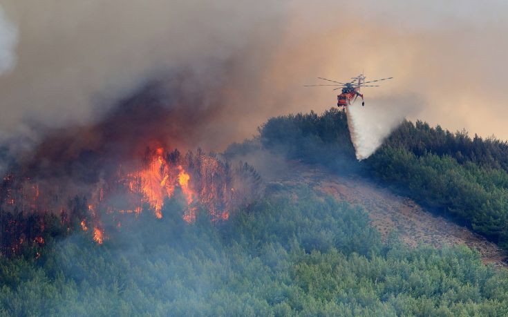 Υπό έλεγχο τέθηκε μικρής έκτασης πυρκαγιά στον Τύρναβο