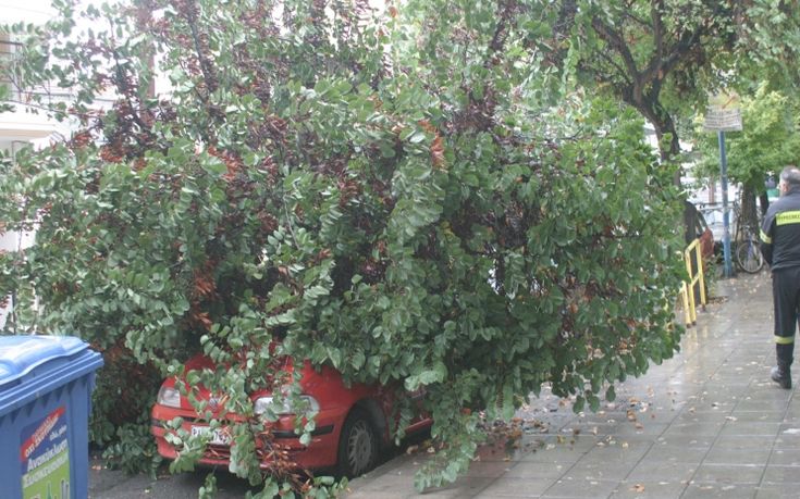 Δέντρο καταπλάκωσε αυτοκίνητο στη Λάρισα