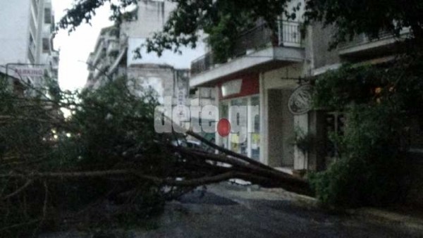 DSC02842-copy-600x338 DSC02842-copy-600x338