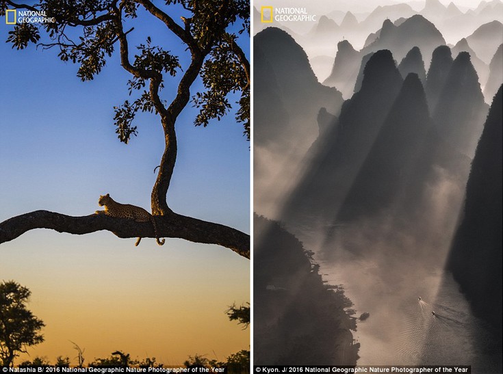 NationalGeographic14 NationalGeographic14