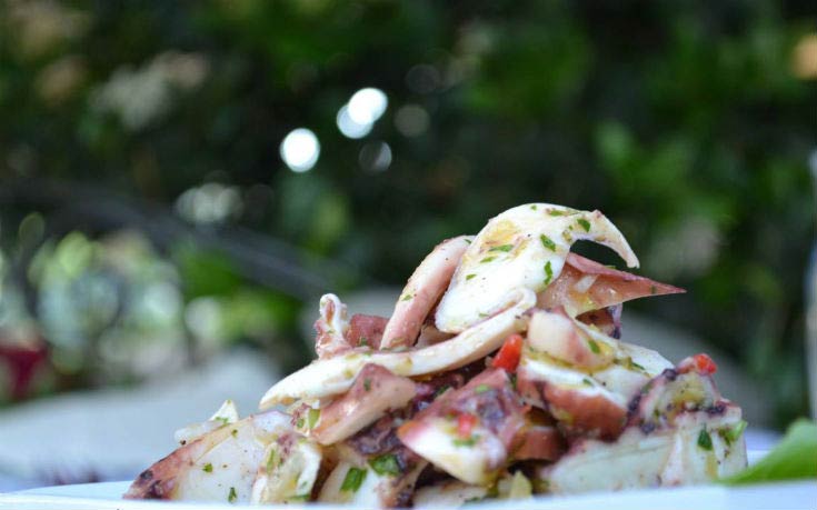 Piperia_1_edited Piperia_1_edited