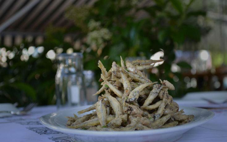 Piperia_7_edited Piperia_7_edited