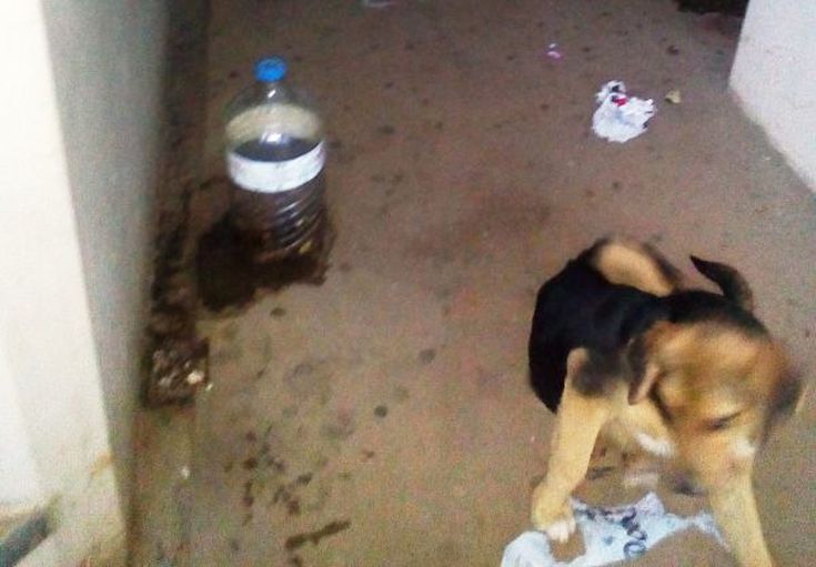 ades_nosokomeio3 ades_nosokomeio3