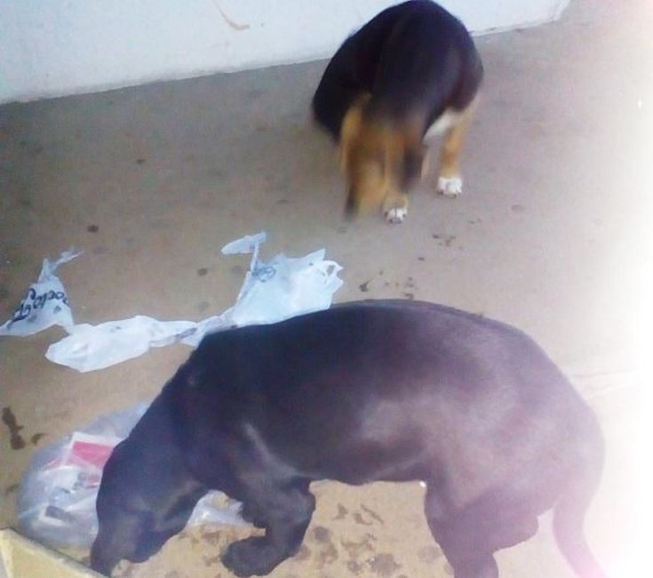 ades_nosokomeio4 ades_nosokomeio4