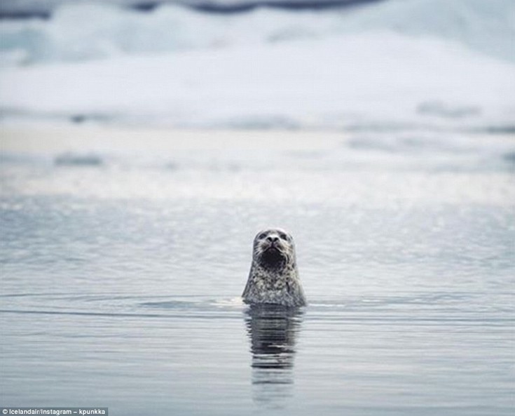 aldfjahjsaj4 aldfjahjsaj4