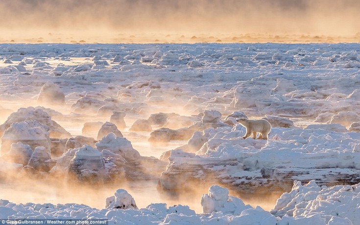 diagwnaisadm1 diagwnaisadm1