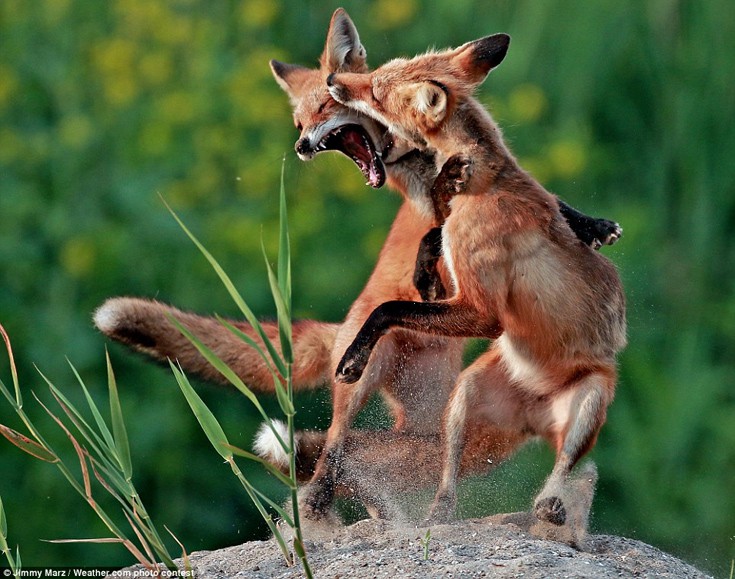 diagwnaisadm7 diagwnaisadm7