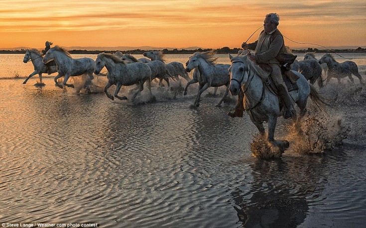 diagwnaisadm9 diagwnaisadm9