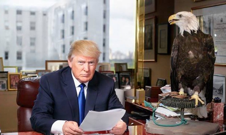 hhihillltruummppp13 hhihillltruummppp13