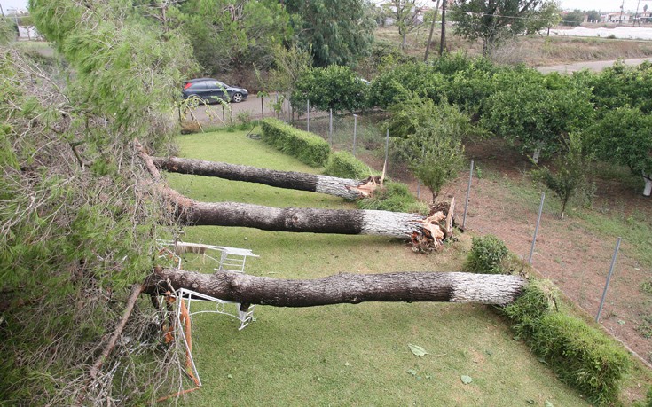 ΗΛΕΙΑ ΚΑΤΑΣΤΡΟΦΕΣ ΗΛΕΙΑ ΚΑΤΑΣΤΡΟΦΕΣ