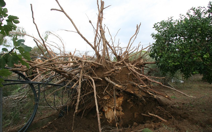 ΗΛΕΙΑ ΚΑΤΑΣΤΡΟΦΕΣ ΗΛΕΙΑ ΚΑΤΑΣΤΡΟΦΕΣ