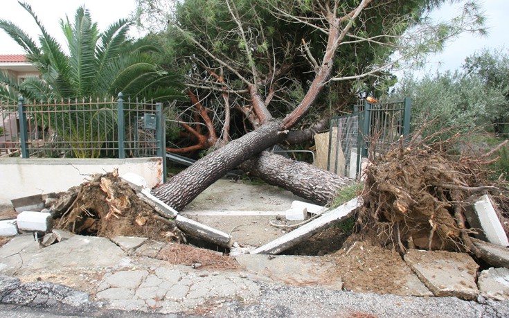 ΗΛΕΙΑ ΚΑΤΑΣΤΡΟΦΕΣ ΗΛΕΙΑ ΚΑΤΑΣΤΡΟΦΕΣ