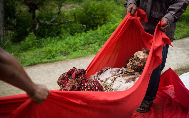 indonhsia3 indonhsia3