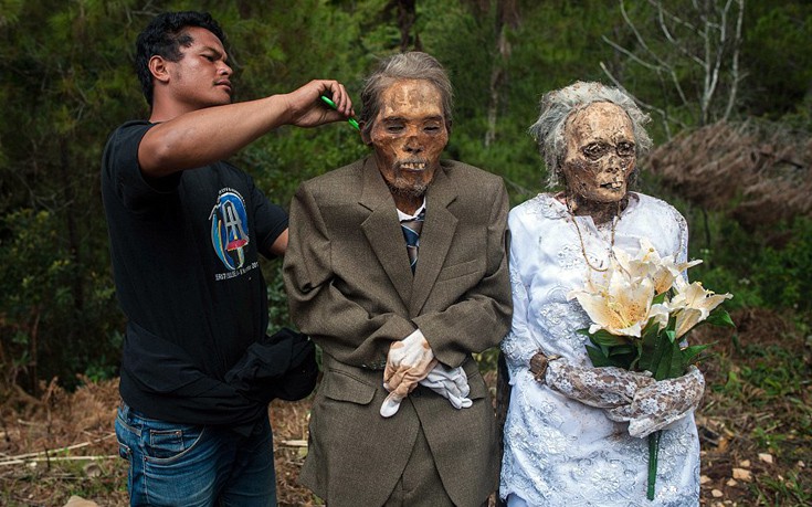 indonhsia7 indonhsia7