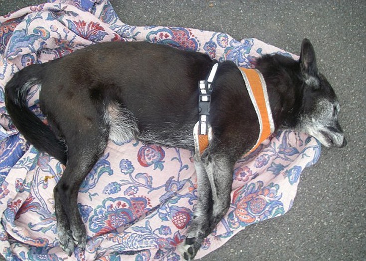 kskadyuay4 kskadyuay4