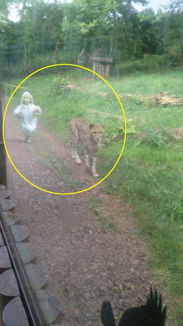 nintchdbpict000263629244 nintchdbpict000263629244